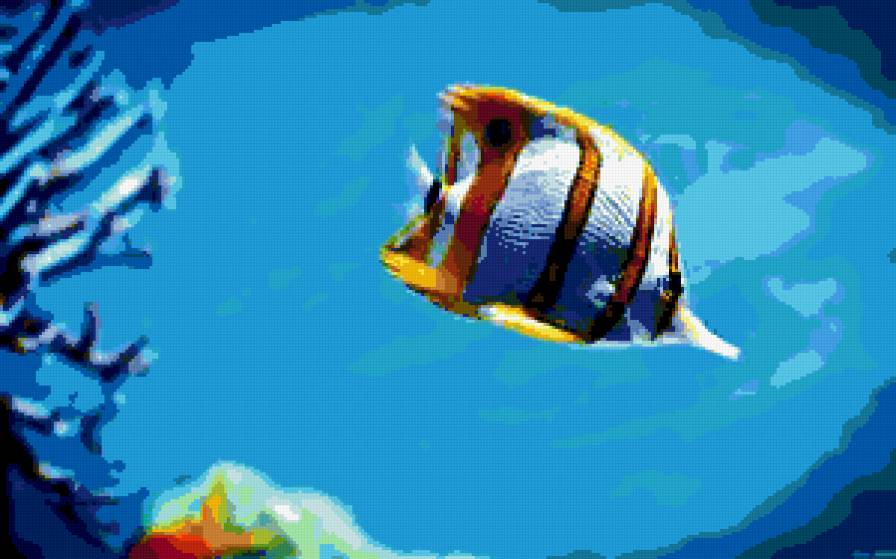 №255664 - море, рыбы - предпросмотр