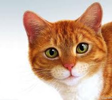 Схема вышивки «№255673»