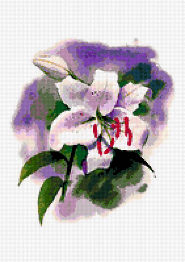 лилия - цветы лилия - предпросмотр