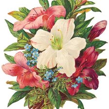 Схема вышивки «букеи лилий»