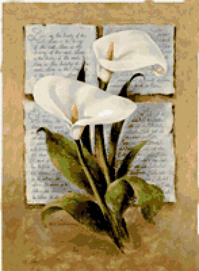 открытка - цветы каллы - предпросмотр