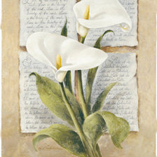 Схема вышивки «открытка»