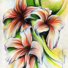 Схема вышивки «лилии»