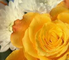 Схема вышивки «№255720»