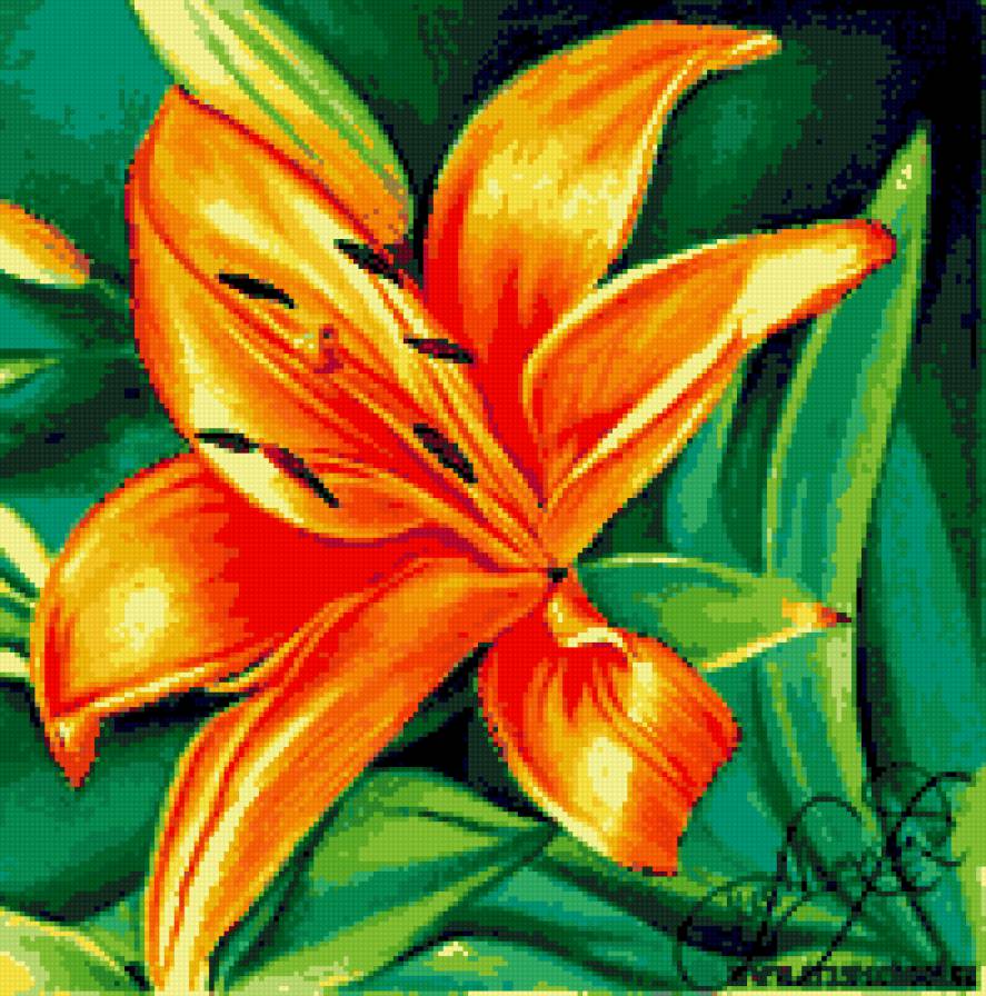 лилия - цветы лилии - предпросмотр