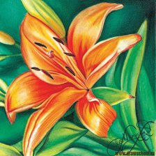 Схема вышивки «лилия»