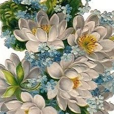 Схема вышивки «№255765»