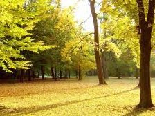 Схема вышивки «№255788»