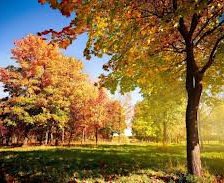 Схема вышивки «№255806»