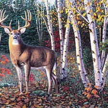 Схема вышивки «Лесной олень»