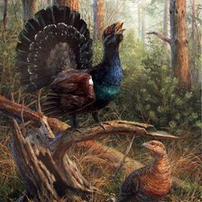 Схема вышивки «глухари»