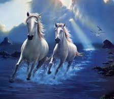 Схема вышивки «№255912»