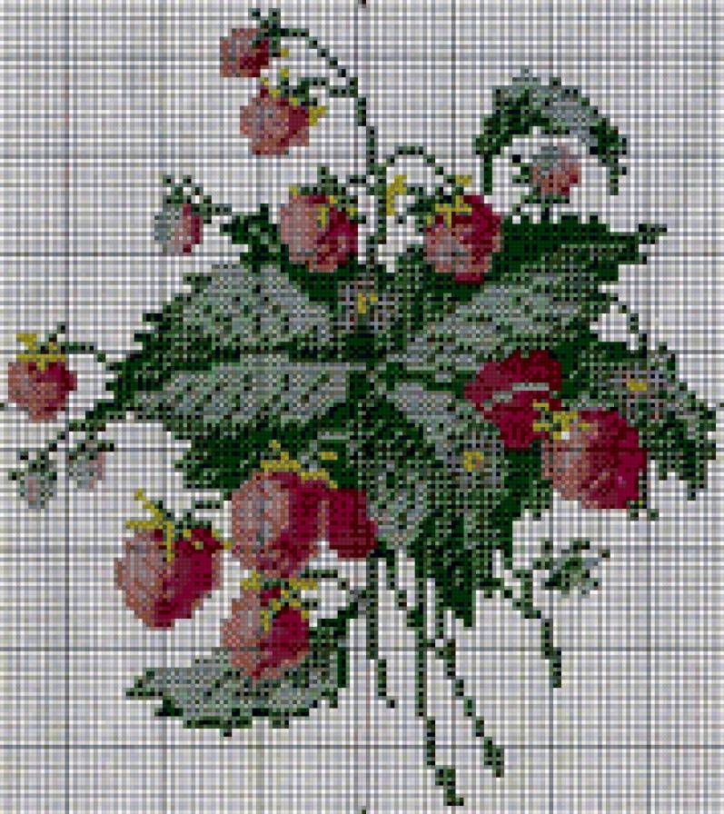 земляника - земляника - предпросмотр