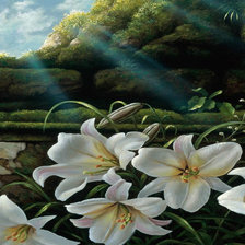 Схема вышивки «Лилии»