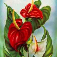 Схема вышивки «№256024»