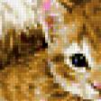 Предпросмотр схемы вышивки «кошки» (№256123)
