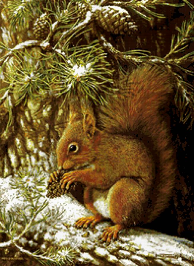 белочка - предпросмотр