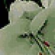 Предпросмотр схемы вышивки «лилии» (№256209)