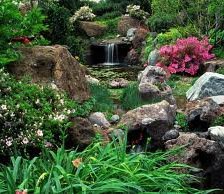 Схема вышивки «№256227»