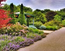 Схема вышивки «№256228»