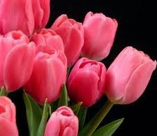 Схема вышивки «№256240»