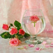 Схема вышивки «№256322»