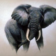 Схема вышивки «Слон»