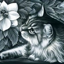 Схема вышивки «кот»