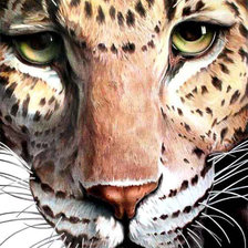 Схема вышивки «Леопард»