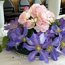 Схема вышивки «Нежность»