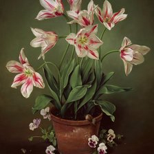 Схема вышивки «Тюльпаны Хосе Эскофета»