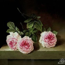 Схема вышивки «Розы,Хосе Эскофет»