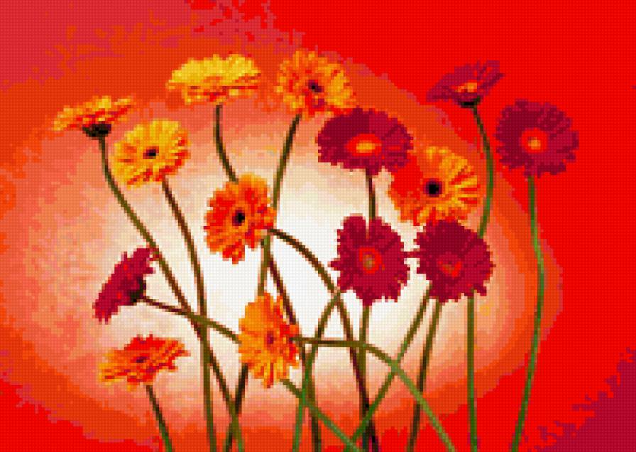 герберы - цветы - предпросмотр