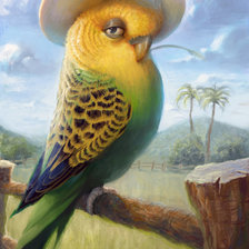 Схема вышивки «попугай»