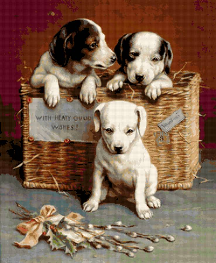 №256787 - щенки, корзина, картина - предпросмотр