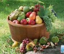 Схема вышивки «№256814»