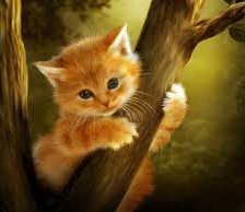 Схема вышивки «№256823»