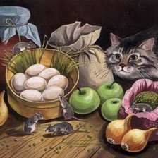 кошатинка на охоте