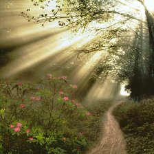 Схема вышивки «тропа»