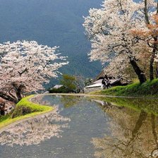 Схема вышивки «весна в саду»