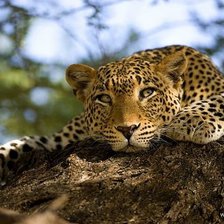 Схема вышивки «отдых»