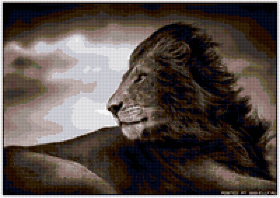 Лев - животные, дикие кошки, лев - предпросмотр