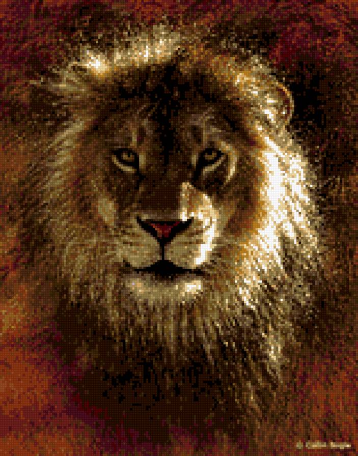 Лев 2 - животные, природа, кошки - предпросмотр