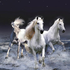 Тройка неугамовных