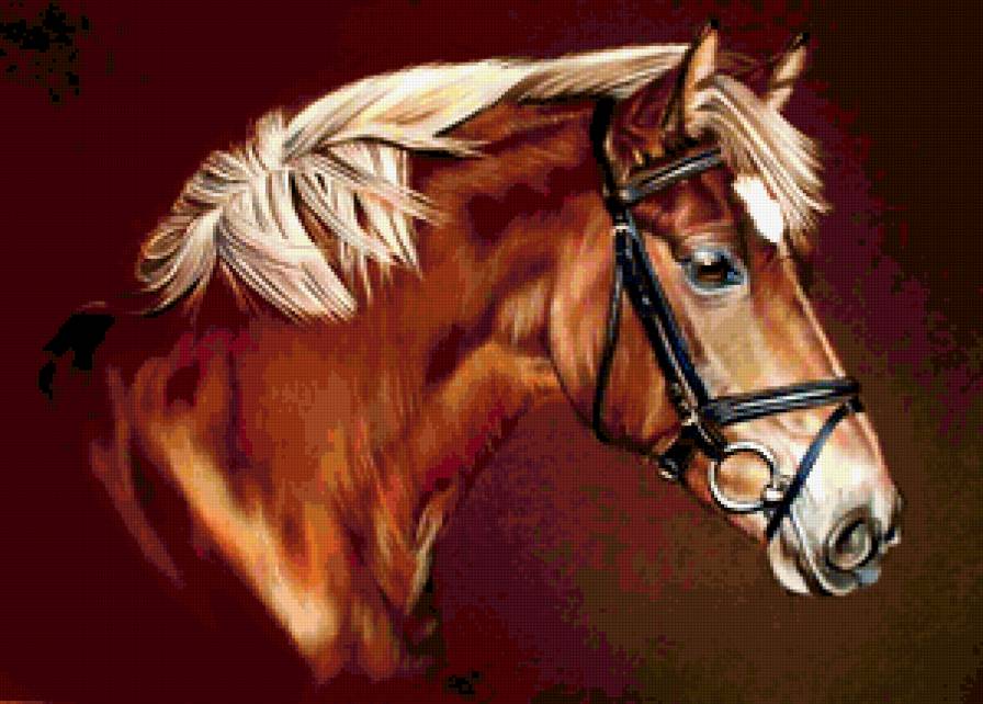 Портрет лошади - картина, красиво, лошадь, портрет - предпросмотр