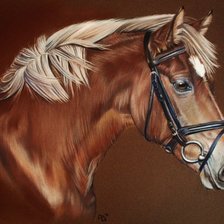 Схема вышивки «Портрет лошади»