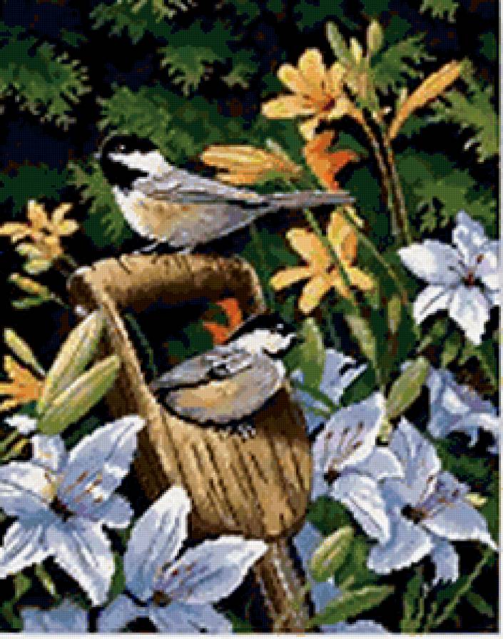 птички-синички - птицы, цветы - предпросмотр