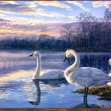 Схема вышивки «лебеди»