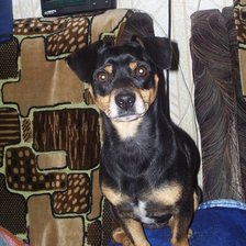 Схема вышивки «Кузька»