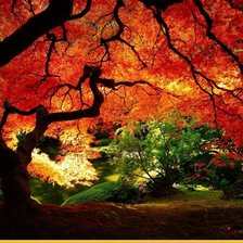 Схема вышивки «природа»